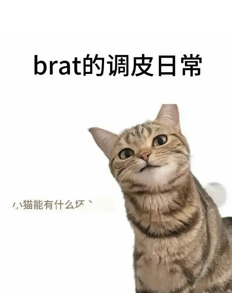 西檬之家-ddlg是什么你的字母圈属性是什么