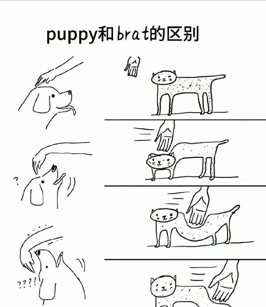 k9犬系 - 微信图片_2025-11-13_180940_765