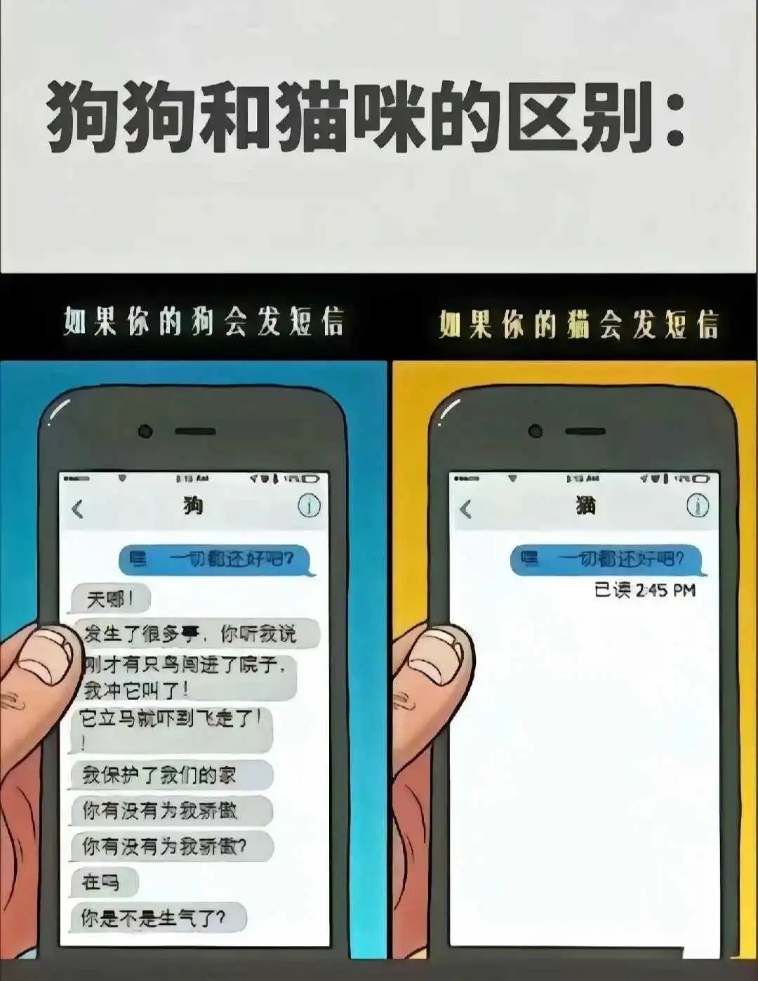 k9是什么 - 微信图片_20250713011414