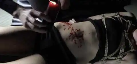 西檬之家-字母圈新人入圈指南：BDSM基础知识与安全规范