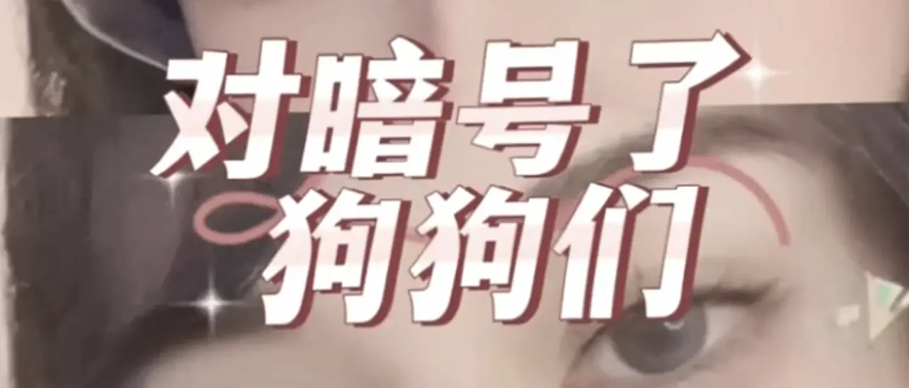 西檬之家-BDSM入门：新手必须掌握的SSC原则与核心术语
