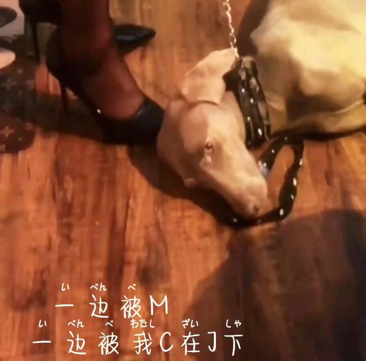 【西檬之家】BDSM字母圈DOM是什么意思？